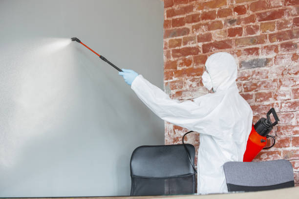 Best Industrial Mold Remediation  in USA